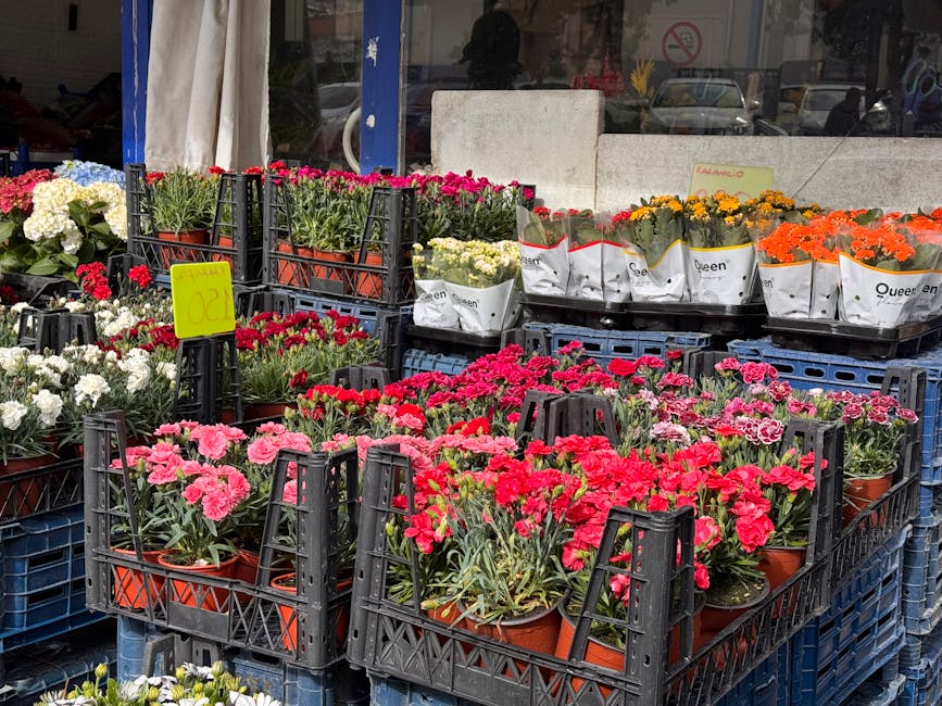 Outdoor display of vibrant potted flowers including pink, red, white, yellow, and orange blooms arranged in black plastic crates and white paper bags with branding, set on blue crates in front of a fl