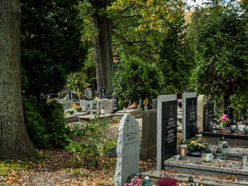 A peaceful cemetery scene featuring several polished granite and stone headstones of varying shapes and sizes, some with engraved inscriptions, surrounded by lush green trees and shrubs. The graveston