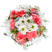 This spring-inspired bouquet, arranged with care by a local florist in Hither Green, radiates the gentle optimism found in neighborhood gardens and parks. Captured from directly above, the composition flourishes with joyful white daisies and vivid coral-pink carnations, their combined hues symbolising renewal and delight. Soft clouds of baby's breath bring an ethereal charm, scattered throughout to create visual lightness and a sense of gentle celebration-reminiscent of sunbeams filtering through trees on Leahurst Road. Subtle, unopened alstroemeria buds peek from the plush foliage, bearing faint tones of purple and blush pink, adding hints of surprise and future growth. The layered greenery-silvery eucalyptus and deeper green textures-elegantly frames the round bouquet, ensuring each bloom is supported and highlighted. Altogether, the arrangement captures a moment of seasonal exuberance, perfect for marking celebrations, anniversaries, or expressing friendship and gratitude. Whether displayed in a South London flat or sent to a loved one's door via local delivery, this bouquet embodies the artisanal expertise and heartfelt touch of Hither Green's thriving floristry community.